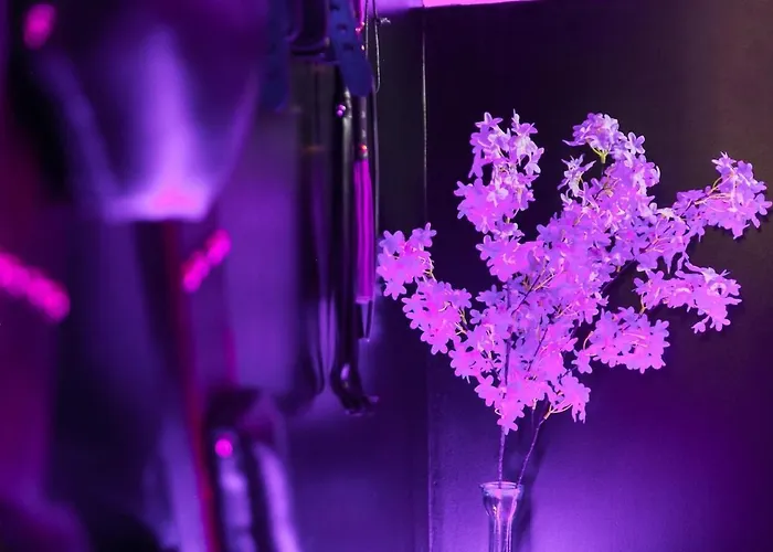 Les Nuits Defendues - Xxl Privative - Maneva Apartmán *